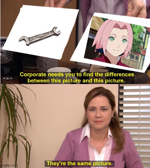 in case you don't get it, sakura's use is as much as a broken tool. | image tagged in memes,they're the same picture | made w/ Imgflip meme maker