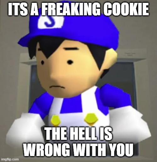 ITS A FREAKING COOKIE THE HELL IS WRONG WITH YOU | image tagged in unsettled smg4 | made w/ Imgflip meme maker