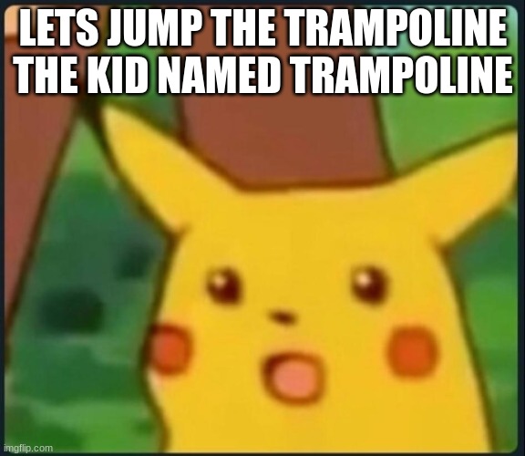 Surprised Pikachu | LETS JUMP THE TRAMPOLINE

THE KID NAMED TRAMPOLINE | image tagged in surprised pikachu | made w/ Imgflip meme maker