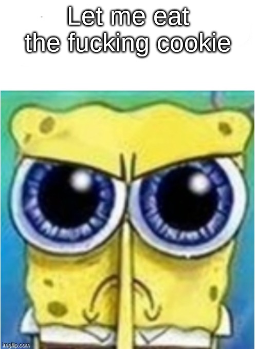 Angry spongebob blank | Let me eat the fucking cookie | image tagged in angry spongebob blank | made w/ Imgflip meme maker