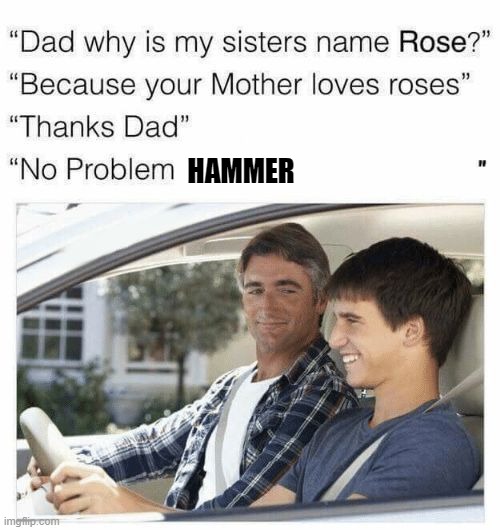 Why is my sister's name Rose | HAMMER | image tagged in why is my sister's name rose | made w/ Imgflip meme maker