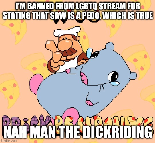 Woe brick be upon ye | I'M BANNED FROM LGBTQ STREAM FOR STATING THAT SGW IS A PEDO, WHICH IS TRUE; NAH MAN THE DICKRIDING | image tagged in woe brick be upon ye | made w/ Imgflip meme maker