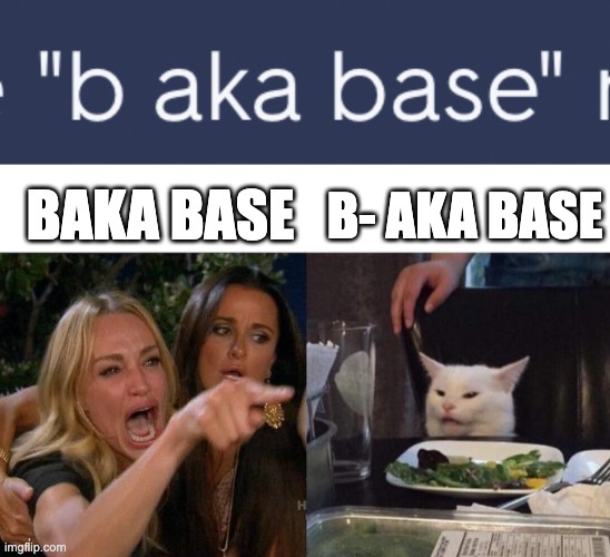 B- AKA BASE; BAKA BASE | image tagged in memes,woman yelling at cat | made w/ Imgflip meme maker