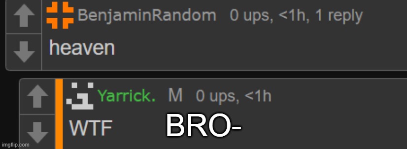 He actually said Heaven for the shipping post.... LIKE BRUH | BRO- | made w/ Imgflip meme maker