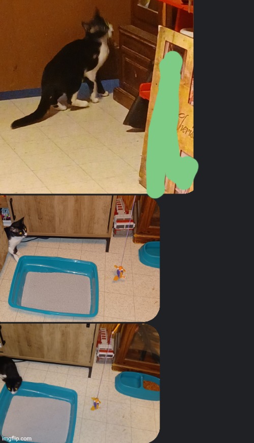 here's the pussy, my mum's bf named her lucy for some reason- | made w/ Imgflip meme maker