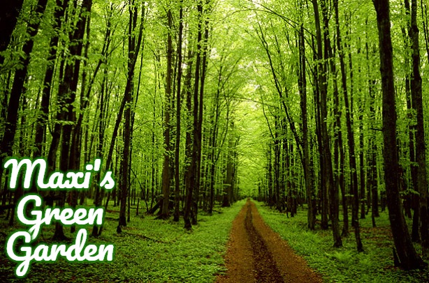 trees_oxygen | Maxi's Green Garden | image tagged in trees_oxygen,maxi's green garden,slavic,maxis green garden | made w/ Imgflip meme maker