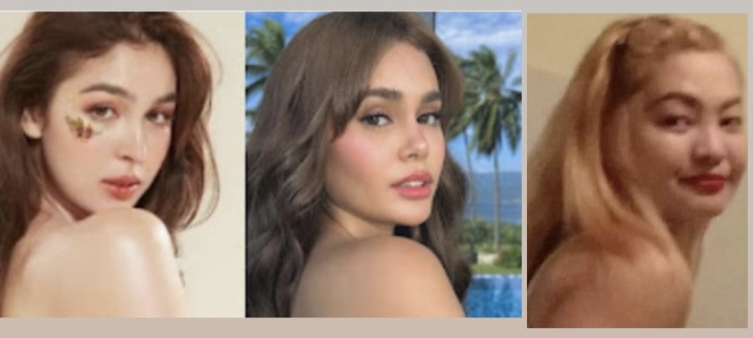 Willdz Blank Meme Template