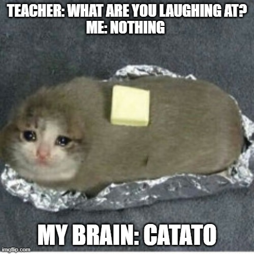 i almost cried laughing at this | TEACHER: WHAT ARE YOU LAUGHING AT?


ME: NOTHING; MY BRAIN: CATATO | image tagged in cat,potato,lol | made w/ Imgflip meme maker