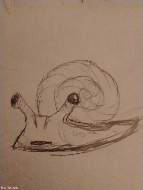 Snail | image tagged in snail | made w/ Imgflip meme maker
