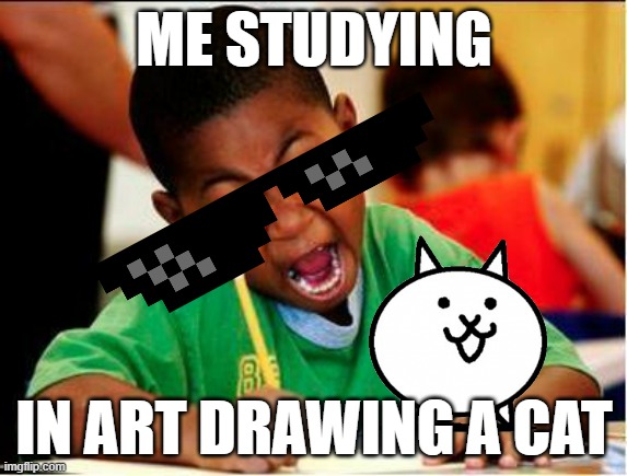 STUDY | ME STUDYING; IN ART DRAWING A CAT | image tagged in study,cat | made w/ Imgflip meme maker
