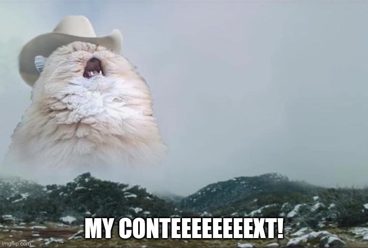 Screaming Cowboy Cat | MY CONTEEEEEEEEXT! | image tagged in screaming cowboy cat | made w/ Imgflip meme maker