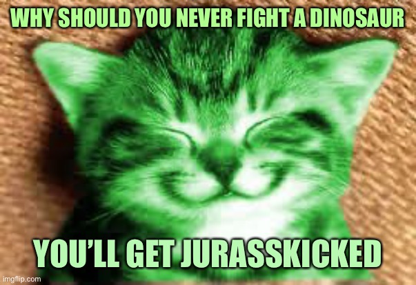 Dad joke RayCat | WHY SHOULD YOU NEVER FIGHT A DINOSAUR; YOU’LL GET JURASSKICKED | image tagged in happy raycat,memes,raycat,dad joke | made w/ Imgflip meme maker