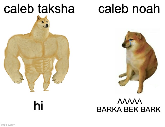 Buff Doge vs. Cheems Meme | caleb taksha; caleb noah; hi; AAAAA BARKA BEK BARK | image tagged in memes,buff doge vs cheems | made w/ Imgflip meme maker