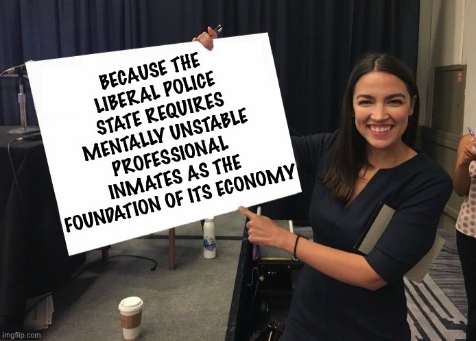 Ocasio-Cortez cardboard | BECAUSE THE LIBERAL POLICE STATE REQUIRES MENTALLY UNSTABLE PROFESSIONAL INMATES AS THE FOUNDATION OF ITS ECONOMY | image tagged in ocasio-cortez cardboard | made w/ Imgflip meme maker