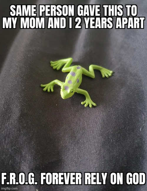 image tagged in memes,funny,wholesome | made w/ Imgflip meme maker