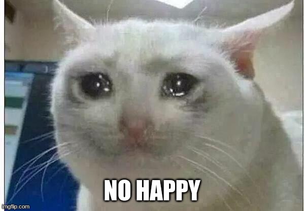 crying cat | NO HAPPY | image tagged in crying cat | made w/ Imgflip meme maker