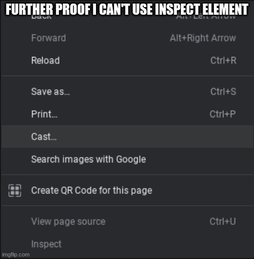 FURTHER PROOF I CAN'T USE INSPECT ELEMENT | made w/ Imgflip meme maker