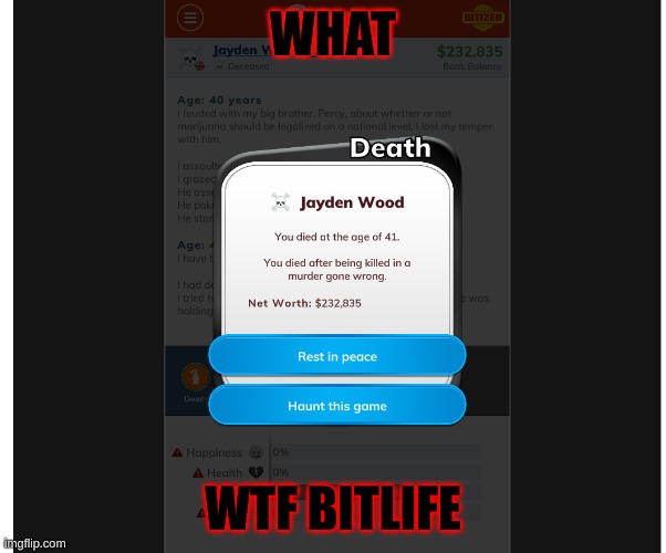 bitlifewtf | WHAT; WTF BITLIFE | image tagged in bitlifewtf | made w/ Imgflip meme maker