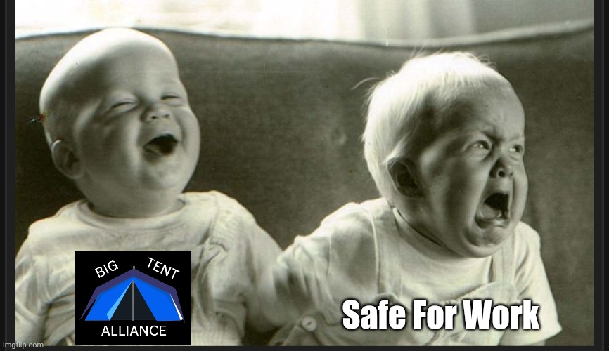 Laugh cry twin babies | Safe For Work | image tagged in laugh cry twin babies | made w/ Imgflip meme maker