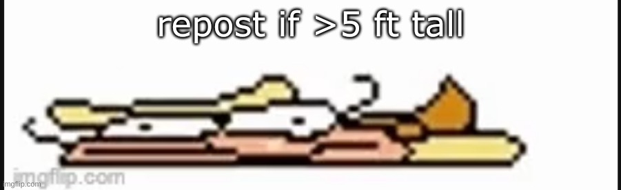 flat | repost if >5 ft tall | image tagged in flat | made w/ Imgflip meme maker