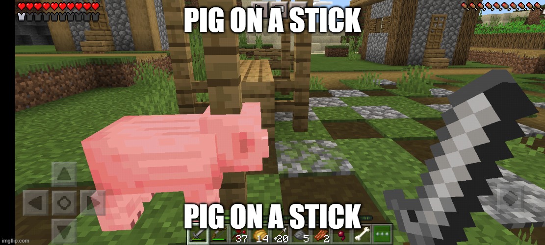PIG ON A STICK IS LOVE, PIG ON A STICK IS LIFE!!! | PIG ON A STICK; PIG ON A STICK | image tagged in minecraft,memes,funny memes,look at me | made w/ Imgflip meme maker