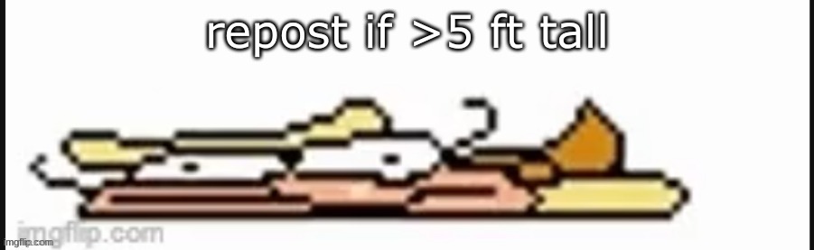 5' 2" | image tagged in repost | made w/ Imgflip meme maker