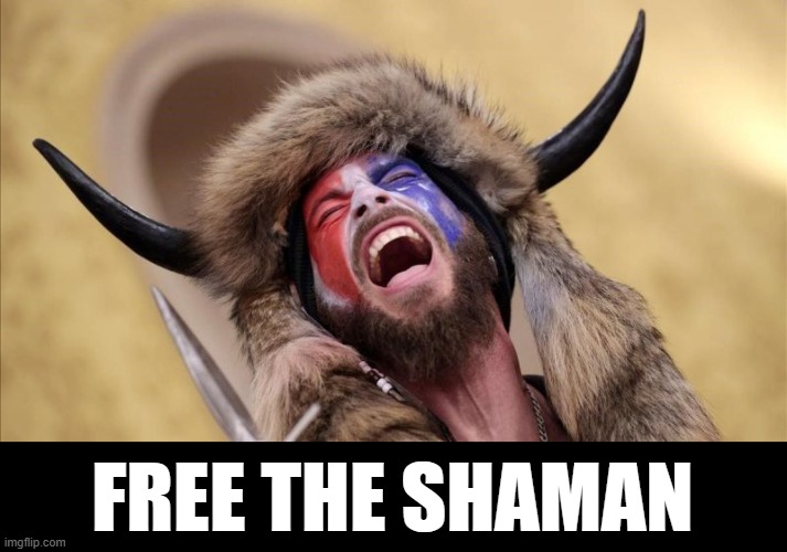 qanon shaman | FREE THE SHAMAN | image tagged in qanon shaman | made w/ Imgflip meme maker