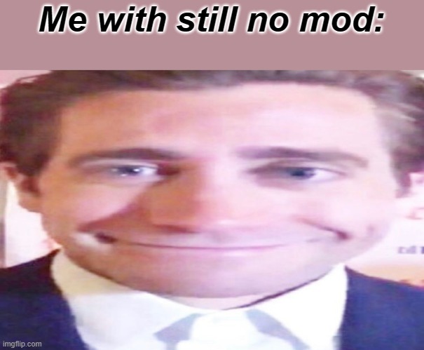 wide jake gyllenhaal | Me with still no mod: | image tagged in wide jake gyllenhaal | made w/ Imgflip meme maker
