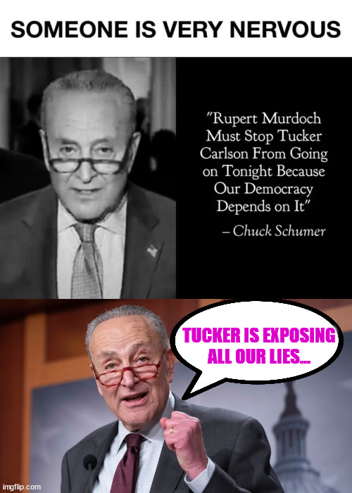 Schumer has gone into meltdown mode... LOL | TUCKER IS EXPOSING ALL OUR LIES... | image tagged in lying,chuck schumer | made w/ Imgflip meme maker