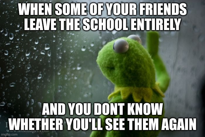 In honor of two friends who are leaving my school. | WHEN SOME OF YOUR FRIENDS LEAVE THE SCHOOL ENTIRELY; AND YOU DONT KNOW WHETHER YOU'LL SEE THEM AGAIN | image tagged in kermit window | made w/ Imgflip meme maker