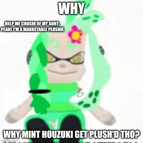 Oh no! Share the wacky numbers on the back of mums credit card and scream Fortnite kid 69 times at 3 am to save her! /j | WHY; HELP ME COUSIN OF MY AUNT; PEARL I'M A MARKETABLE PLUSHIE; WHY MINT HOUZUKI GET PLUSH'D THO? | image tagged in splatoon,mint,plush | made w/ Imgflip meme maker