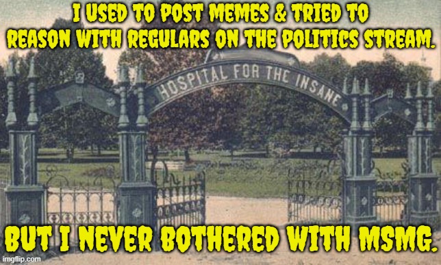 Why would anyone want to go there? | I used to post memes & tried to reason with regulars on the politics stream. But I never bothered with MSMG. | image tagged in you have opened the asylum gate,tantrum,chaos,the daily struggle imgflip edition | made w/ Imgflip meme maker