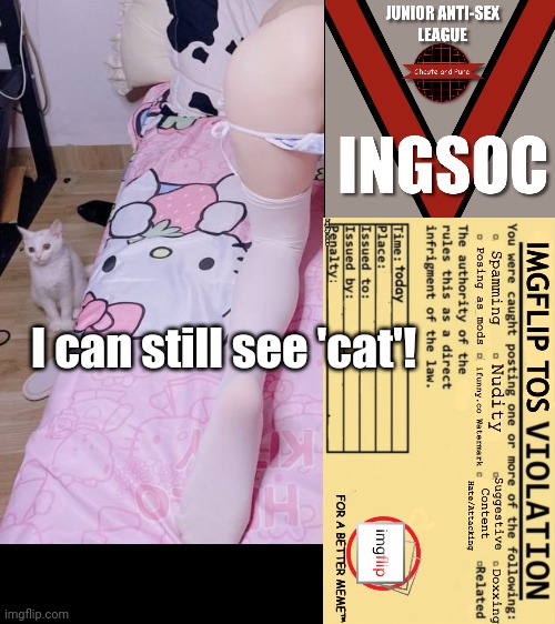 I can still see 'cat'! | made w/ Imgflip meme maker