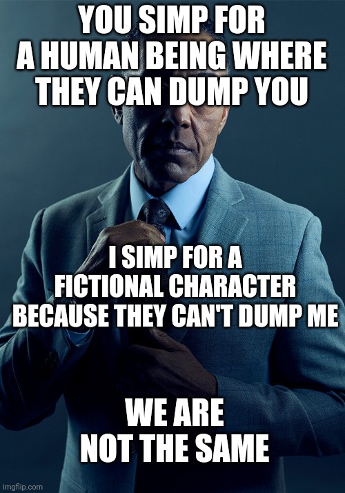 Gus Fring we are not the same | YOU SIMP FOR A HUMAN BEING WHERE THEY CAN DUMP YOU I SIMP FOR A FICTIONAL CHARACTER BECAUSE THEY CAN'T DUMP ME WE ARE NOT THE SAME | image tagged in gus fring we are not the same | made w/ Imgflip meme maker