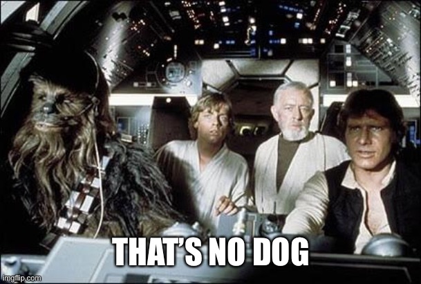 That's no moon | THAT’S NO DOG | image tagged in that's no moon | made w/ Imgflip meme maker