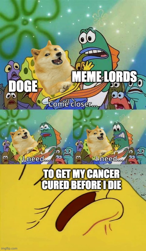 help cure doge's cancer | MEME LORDS; DOGE; TO GET MY CANCER CURED BEFORE I DIE | image tagged in spongebob come closer template | made w/ Imgflip meme maker