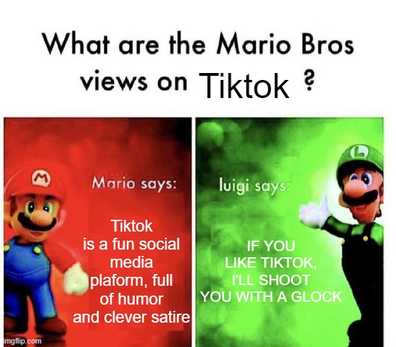 Truly the bane of social media. | Tiktok; Tiktok is a fun social media plaform, full of humor and clever satire; IF YOU LIKE TIKTOK, I'LL SHOOT YOU WITH A GLOCK | image tagged in mario bros views,tiktok sucks,funny memes,oh wow are you actually reading these tags | made w/ Imgflip meme maker