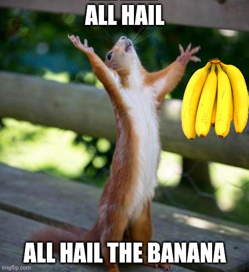 all hail the banana | ALL HAIL; ALL HAIL THE BANANA | image tagged in all hail,banana | made w/ Imgflip meme maker