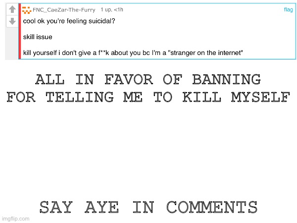 Like dude…no | ALL IN FAVOR OF BANNING FOR TELLING ME TO KILL MYSELF; SAY AYE IN COMMENTS | image tagged in why are you reading the tags | made w/ Imgflip meme maker