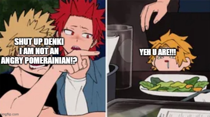 its true | SHUT UP DENKI I AM NOT AN ANGRY POMERAINIAN!? YEH U ARE!!! | image tagged in bakugo yelling at denki,mha | made w/ Imgflip meme maker