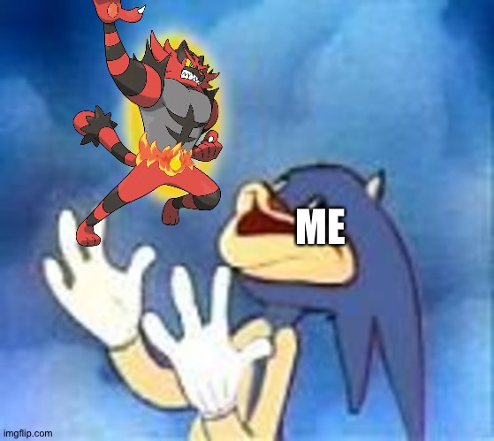 ME | image tagged in sonic,pokemon | made w/ Imgflip meme maker