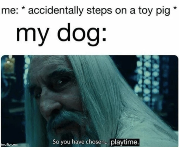 image tagged in repost | made w/ Imgflip meme maker