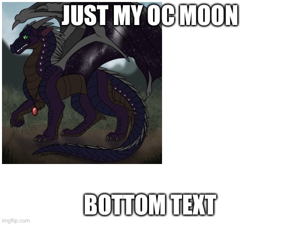 JUST MY OC MOON BOTTOM TEXT | made w/ Imgflip meme maker