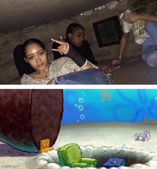 image tagged in memes | made w/ Imgflip meme maker