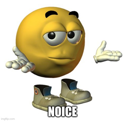 Yellow Emoji Face | NOICE | image tagged in yellow emoji face | made w/ Imgflip meme maker