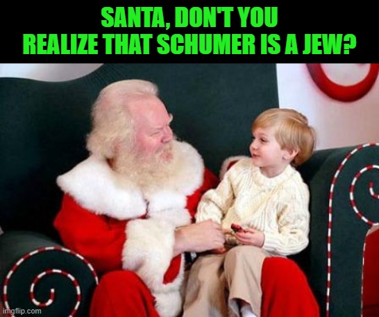Santa's Lap | SANTA, DON'T YOU REALIZE THAT SCHUMER IS A JEW? | image tagged in santa's lap | made w/ Imgflip meme maker
