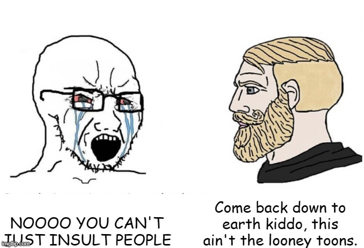 Soyboy Vs Yes Chad | NOOOO YOU CAN'T JUST INSULT PEOPLE Come back down to earth kiddo, this ain't the looney toons. | image tagged in soyboy vs yes chad | made w/ Imgflip meme maker