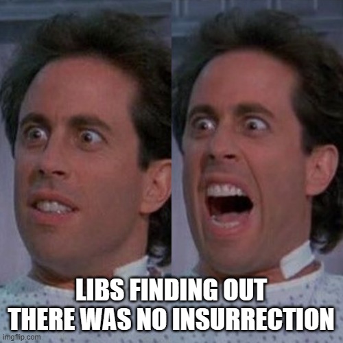 Mama's wrong again | LIBS FINDING OUT THERE WAS NO INSURRECTION | image tagged in jerryscream | made w/ Imgflip meme maker