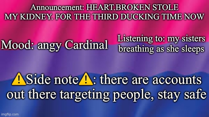 Bi flag background | Announcement: HEART.BROKEN STOLE MY KIDNEY. FOR THE THIRD DUCKING TIME NOW; Listening to: my sisters breathing as she sleeps; Mood: angy Cardinal; ⚠️Side note⚠️: there are accounts out there targeting people, stay safe | image tagged in bi flag background | made w/ Imgflip meme maker
