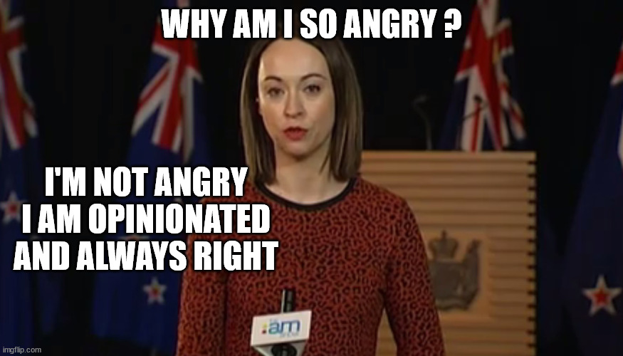 Tova O'Brien |  WHY AM I SO ANGRY ? I'M NOT ANGRY I AM OPINIONATED AND ALWAYS RIGHT | image tagged in new zealand,fake news,media,forehead,huge | made w/ Imgflip meme maker